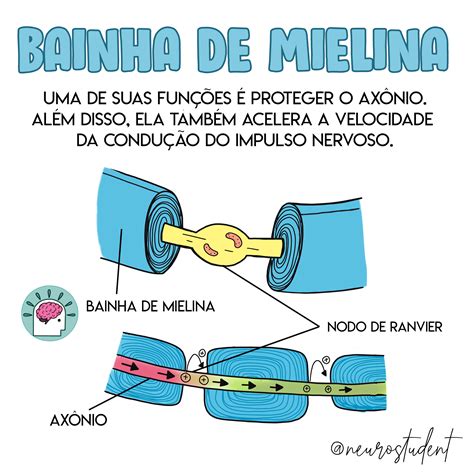 bainha de mielina.